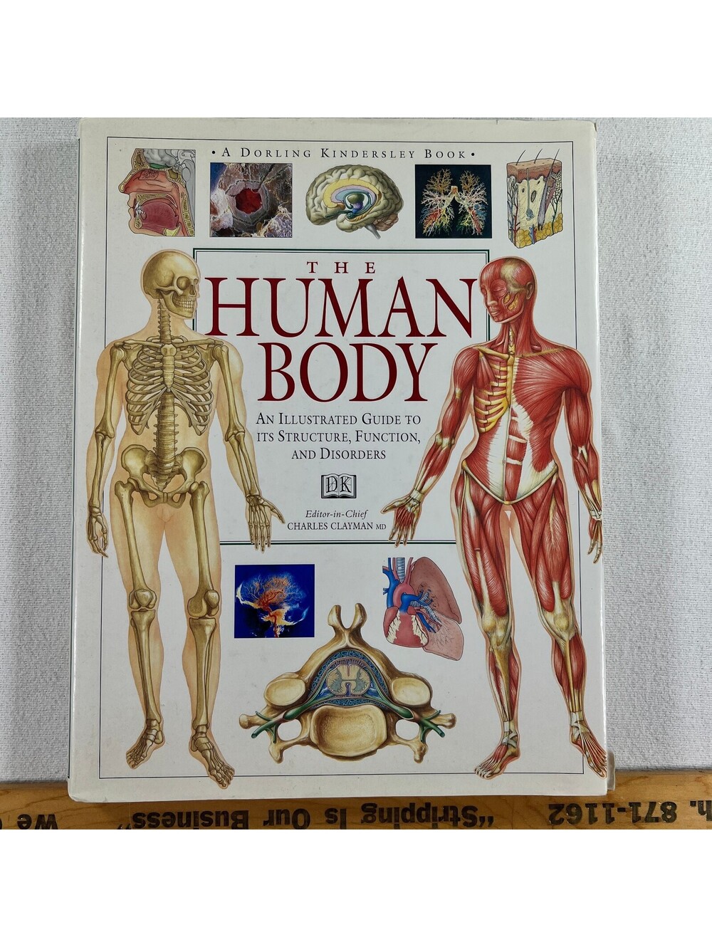 The Human Body: An Illustrated Guide to Its Structure, Function, and Disorders -